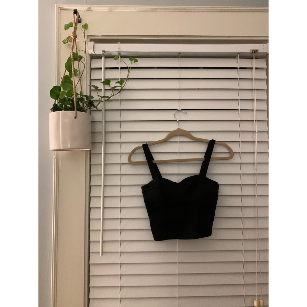 Body Central Crop Top